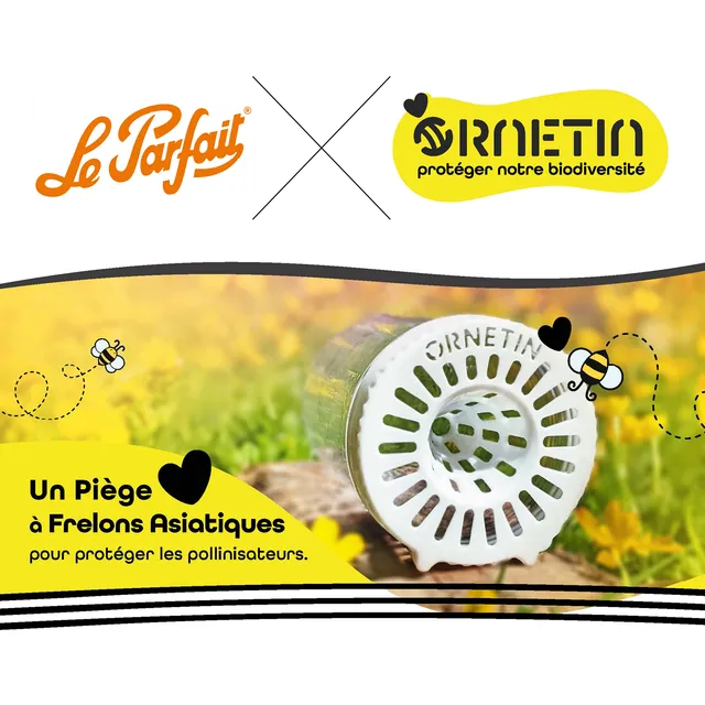 le-parfait-x-ornetine-pi-ge-frelons-asiatiques-familia-wiss-750-100-kit-pot-en-v image 1