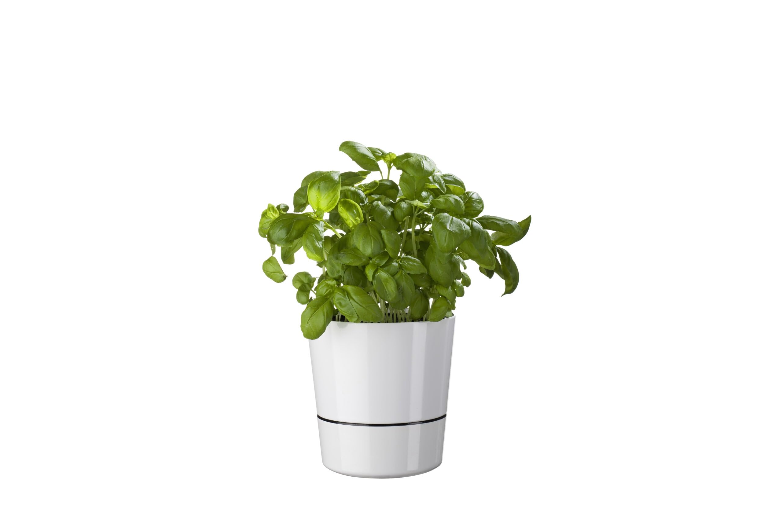 mepal-bocal-herbes-fra-ches-hydro-grand-mod-le-nordic-grey-conservateur-d-herbes image 5