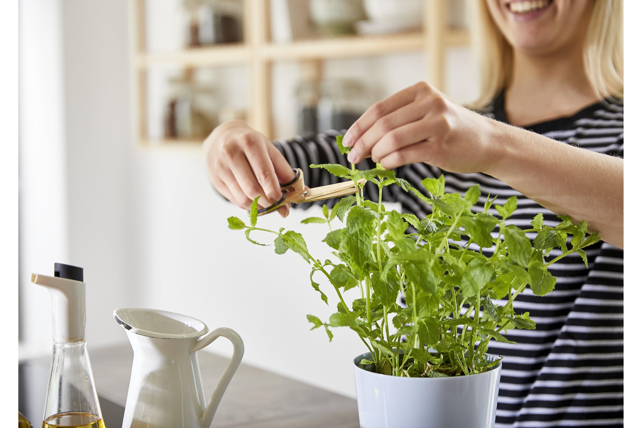 mepal-bocal-herbes-fra-ches-hydro-grand-mod-le-nordic-grey-conservateur-d-herbes image 2