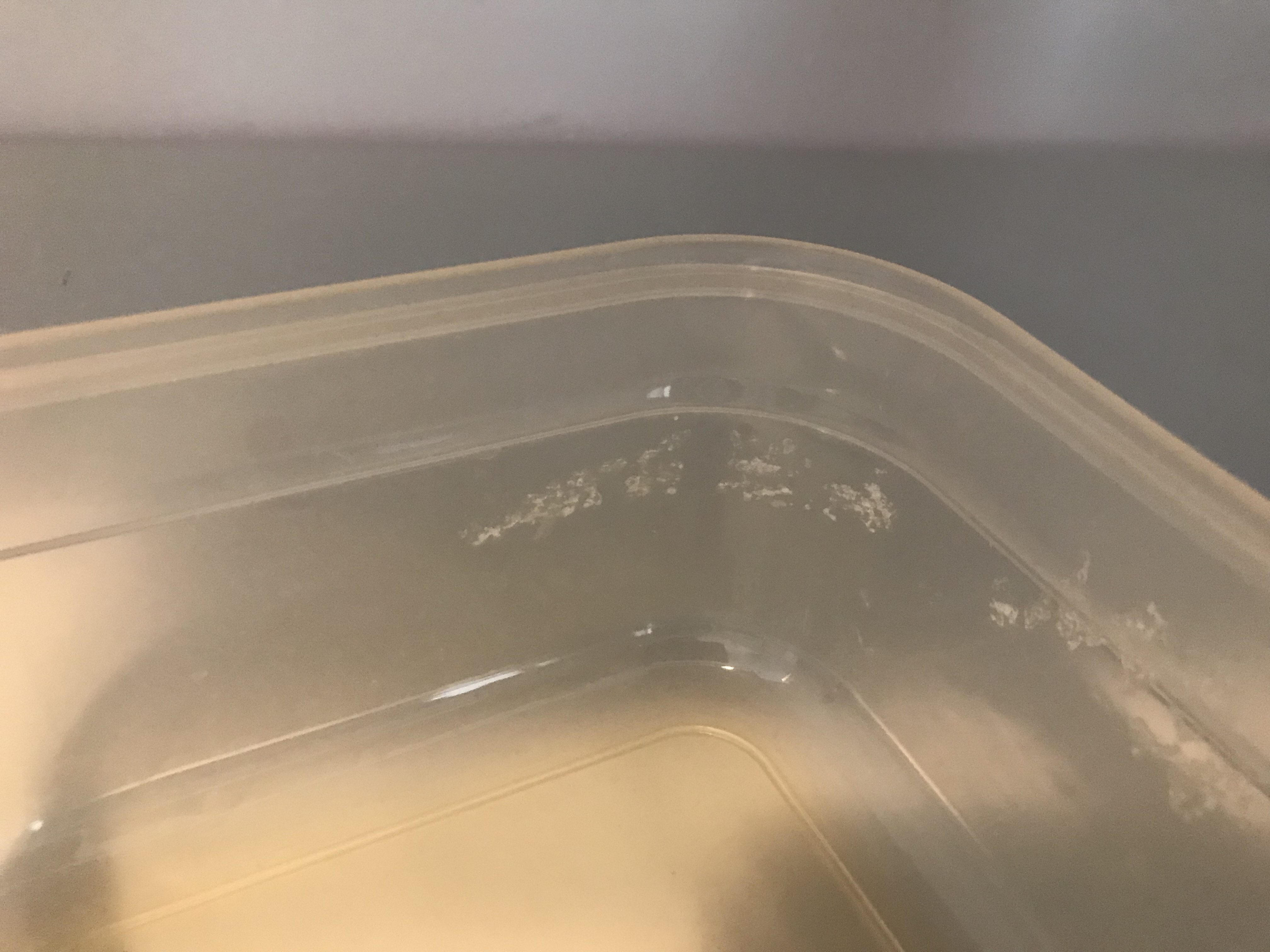 Une boîte fissurée à l'arrivée