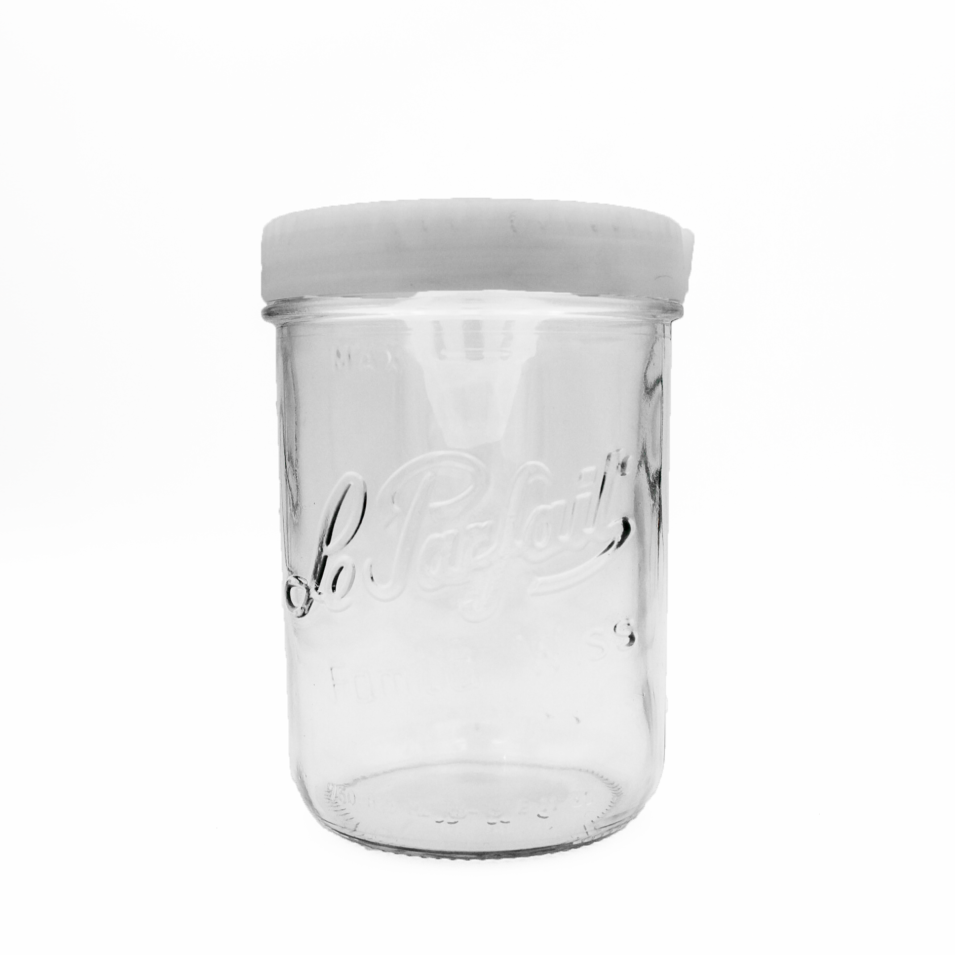 le-parfait-x-ornetine-pi-ge-frelons-asiatiques-familia-wiss-750-100-kit-pot-en-v image 2